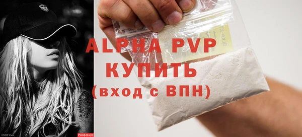 PSILOCYBIN Бородино