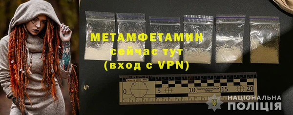 PSILOCYBIN Бородино