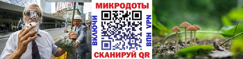 Галлюциногенные грибы Psilocybe Невель